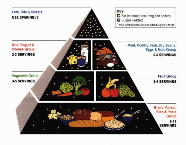 Write About the Different Food Groups and Their Functions