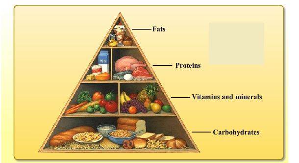 Components of Food and Their Sources